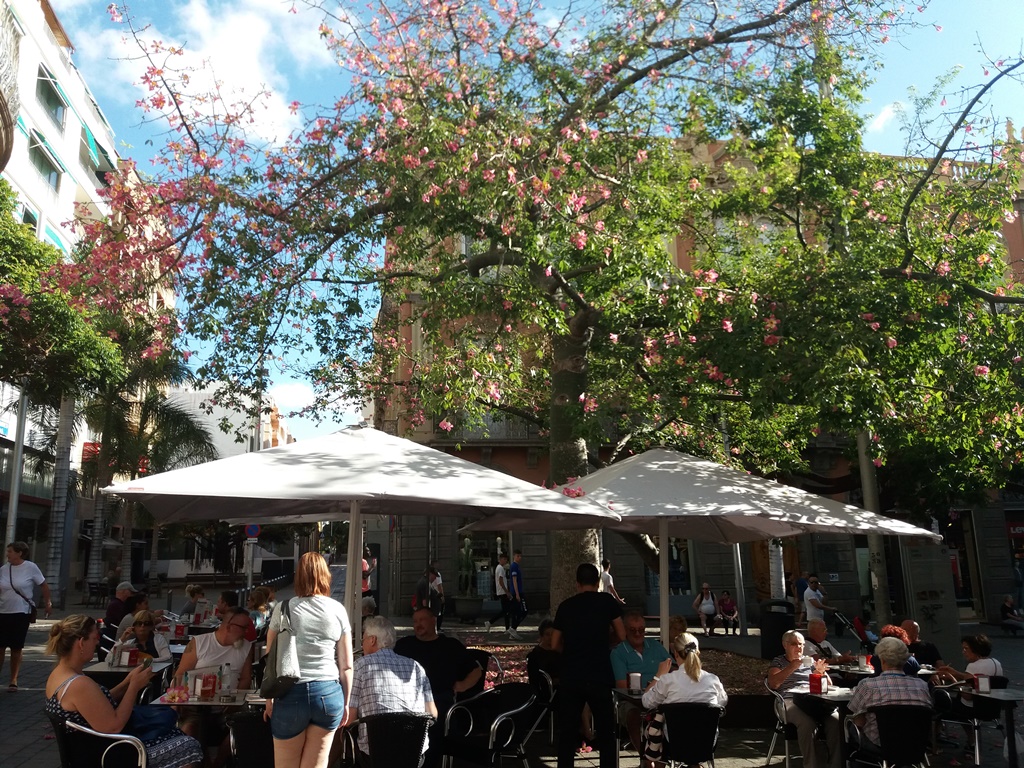 20191019_115328 20191019_115328